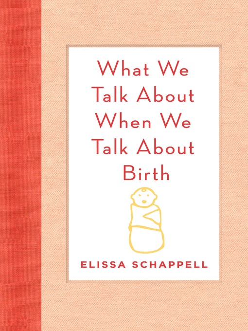 Title details for What We Talk About When We Talk About Birth by Elissa Schappell - Wait list